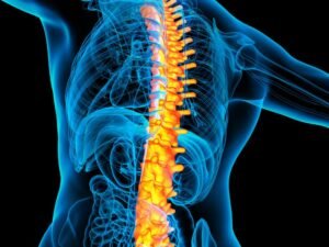 Especialista em cirurgia da coluna SP